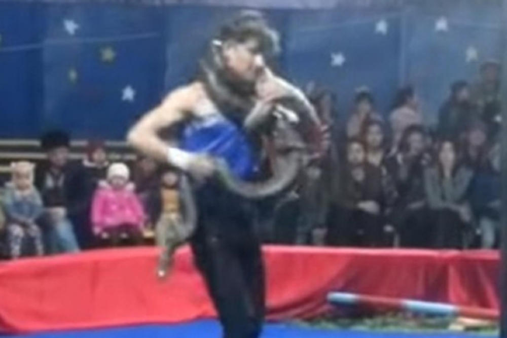 IZVODIO TAČKU SA ZMIJOM, PA UMALO STRADAO: Publika je mislila da se šali, SVE DOK SE NIJE ONESVESTIO! (VIDEO)