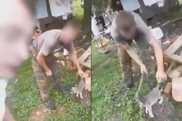 MALOLETNIK I STARIJA OSOBA ZAKLALI MAČKU I TO SNIMILI: Stigla ih je kazna, evo kolika ih robija čeka! (VIDEO)