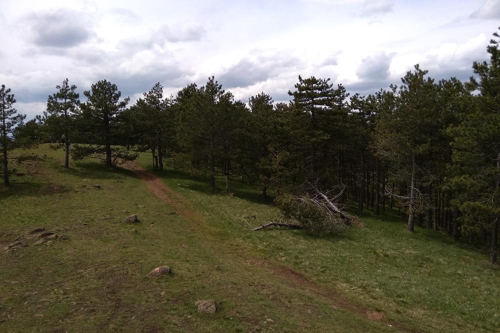 Prodaje se plac u blizini ove planine u Srbiji: Cena samo 7.000 evra, svi papiri uredni