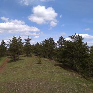 Ovu planinu Srbi obožavaju jer je odmor zagarantovan: Cene noćenja 25 evra, svi se rado vraćaju