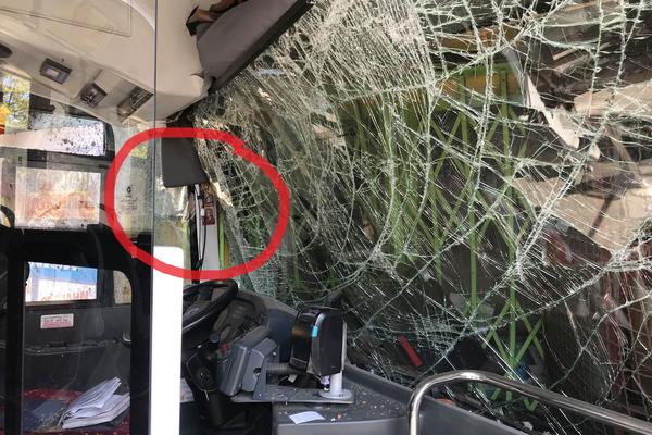 VOZAČA AUTOBUSA JE SPASILO SAMO ČUDO! Šoferka skroz ispucala, ali je izdržala, obratite pažnju na ZAOKRUŽENI DETALJ