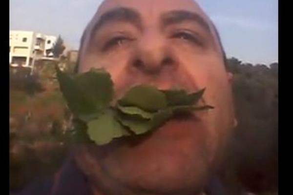 OVAJ ČIČA MEKEĆE BOLJE OD KOZE! Natrpao je TRAVU u USTA, a onda je njegov ŠOU POČEO! (VIDEO)