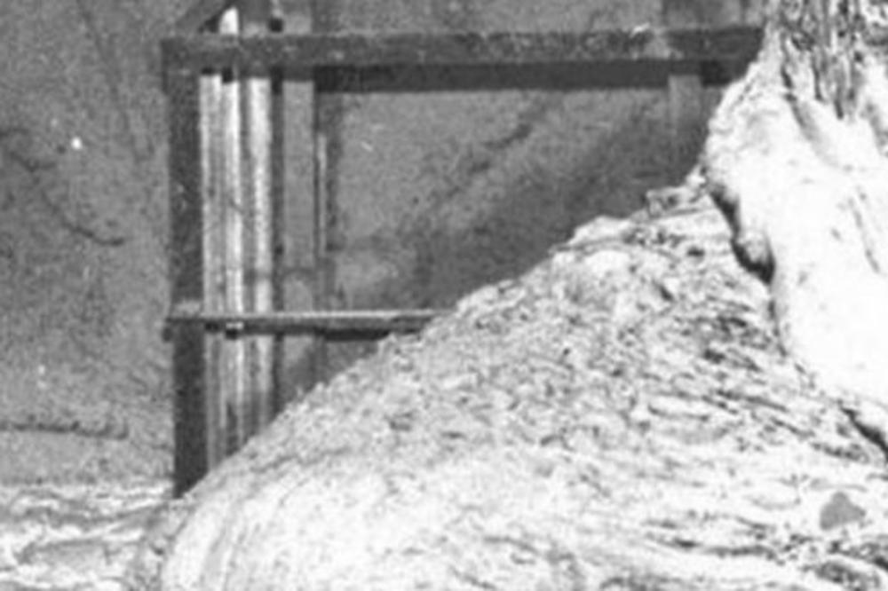 UŽAS IZ ČERNOBILJA: Ako biste se susreli sa OVIM, umrli biste iste sekunde! (VIDEO)