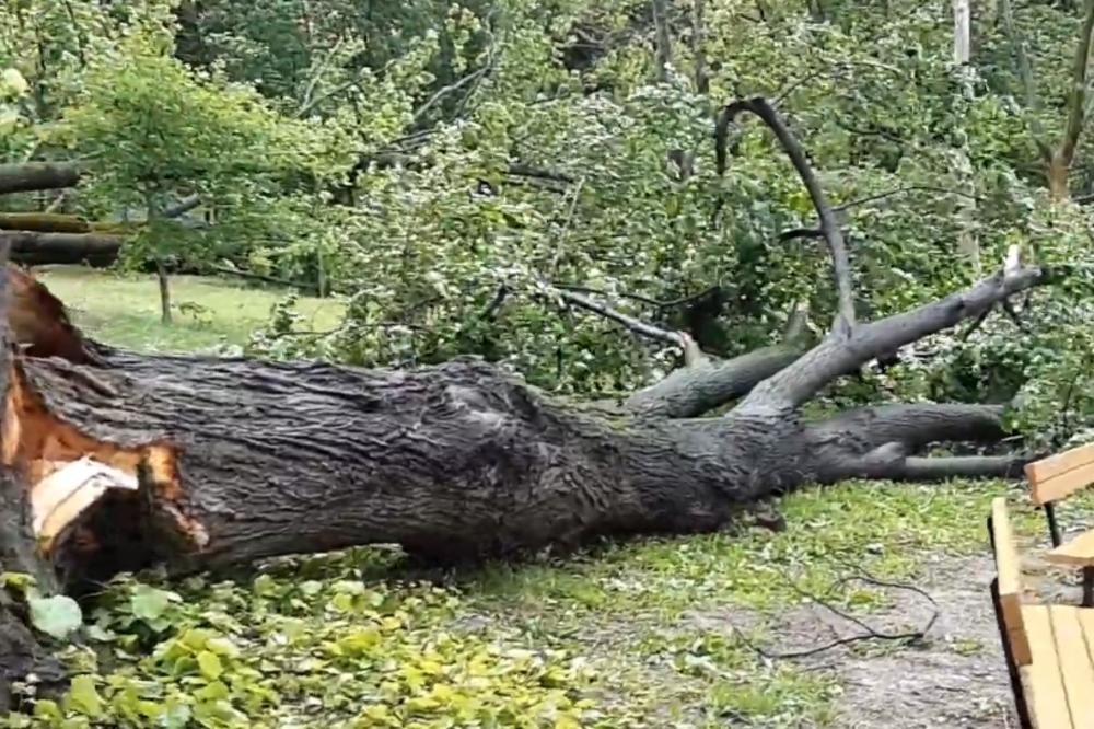 NAJGORE NEVREME U POSLEDNJIH 45 GODINA: Grana pala na ženu u Zagrebu, vlasti apeluju da se ne izlazi iz kuća!