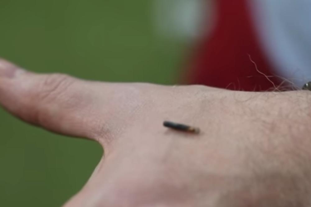 ČIPOVI U SRBIJI? Evo šta kažu stručnjaci