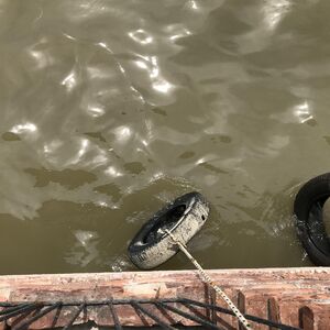 Sava nadolazi, ovaj grad sutra ulazi u zonu redovne odbrane od poplava! RHMZ izdao hitno upozorenje