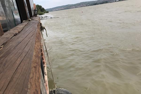 Raste vodostaj Save, raste i rizik od poplava! Novi talas padavina već sutra, a onda kreće i sneg da se topi!