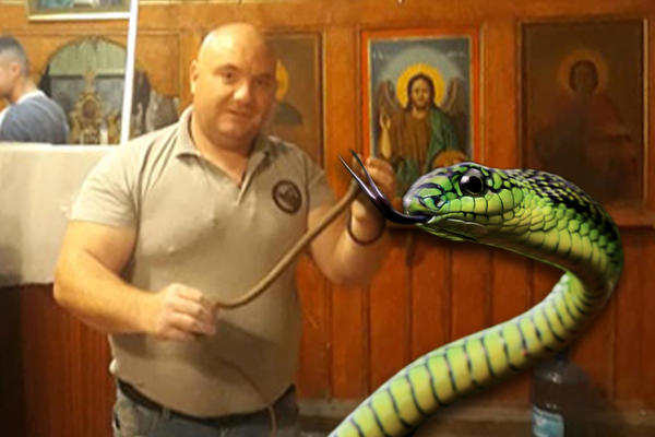 ZMIJE SE RAZMNOŽILE U SRPSKOJ CRKVI! Pomerili su oltar i odatle izvukli 3 STEPSKA SMUKA (VIDEO)