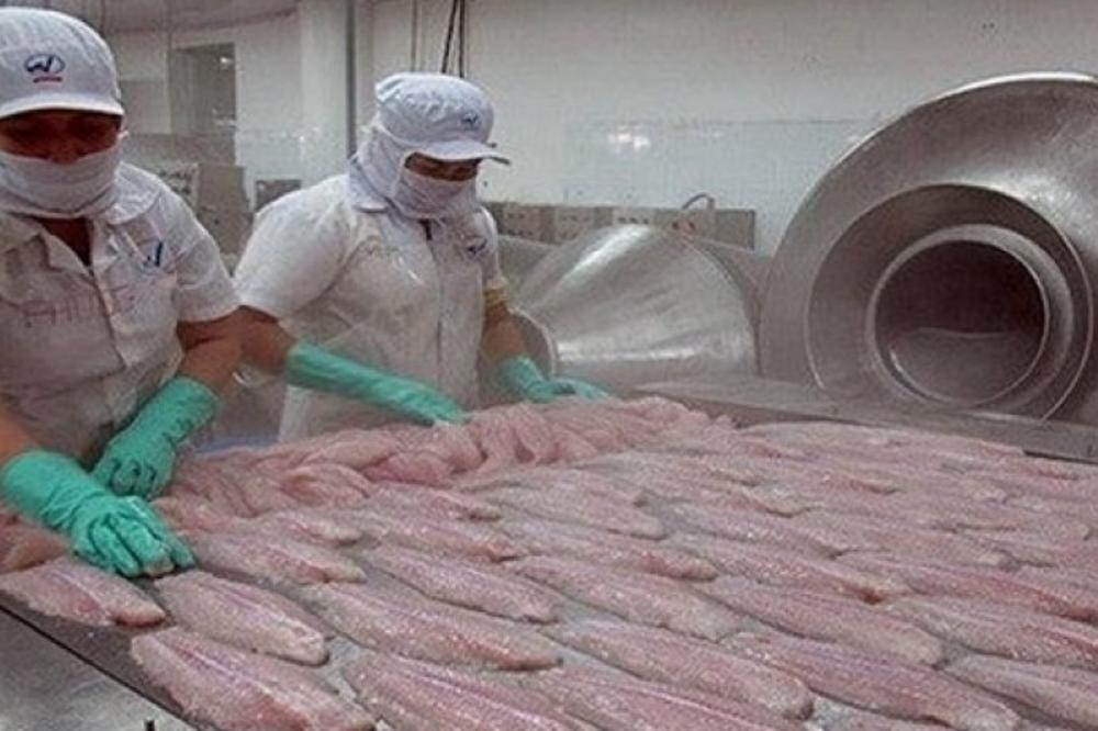 DA LI GMO HRANA IZAZIVA RAK? Ovo je istina