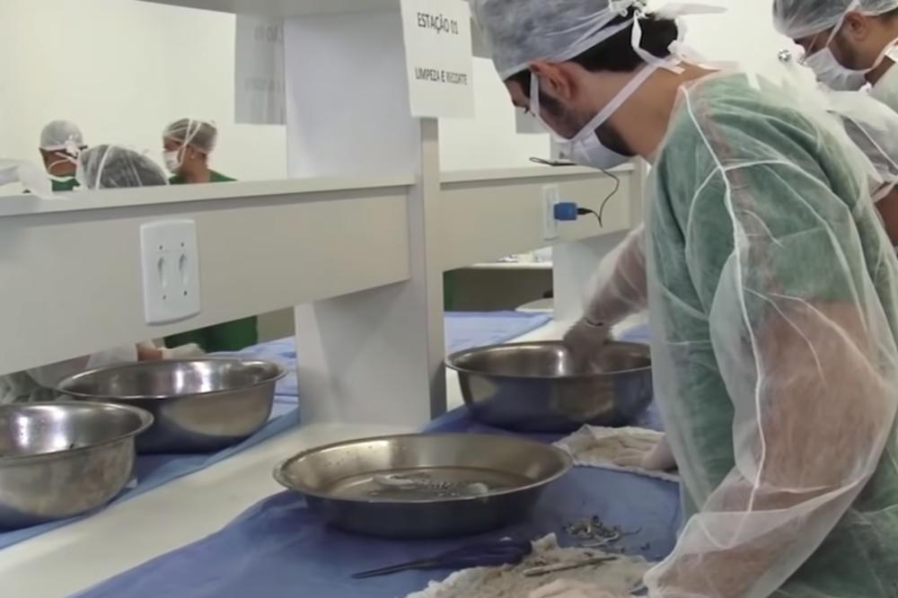 PAZARSKI HIRURG NA SUĐENJU ZBOG MITA: "Ja treba da sam zaštićen kao beli medved"