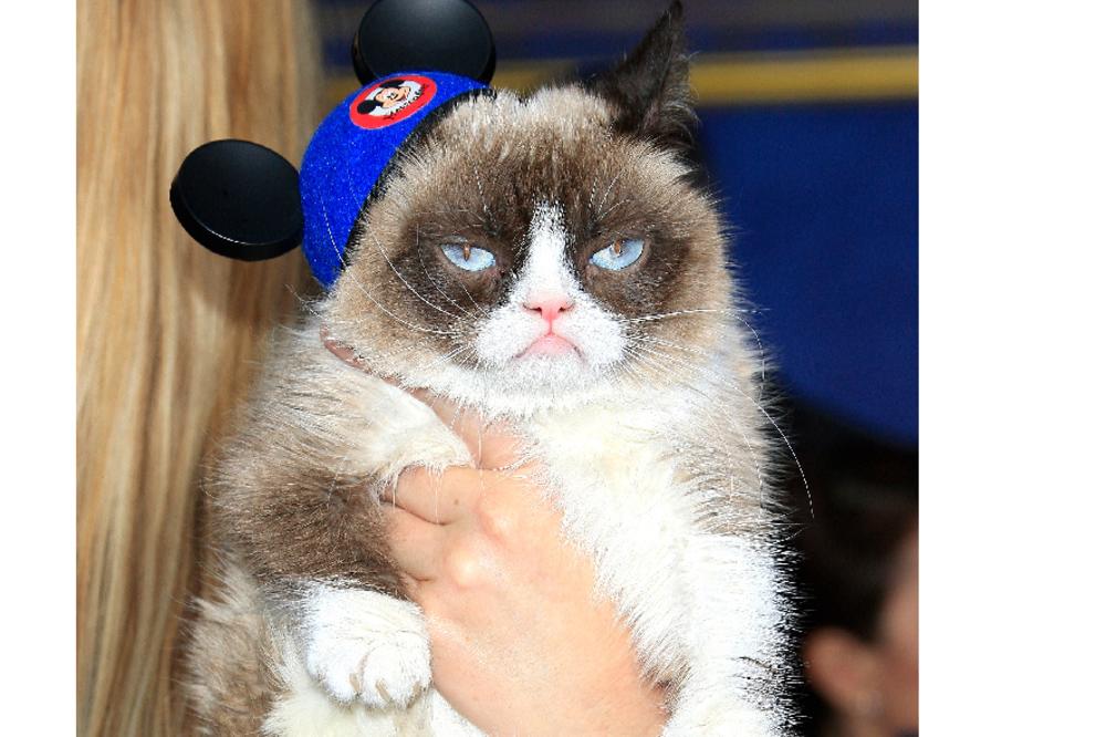 UMRLA NAJPOZNATIJA MAČKA NA SVETU: Bila je zvezda interneta!