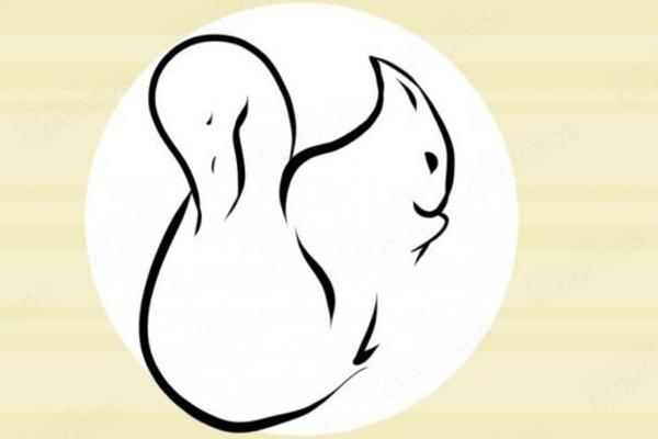 POGLEDAJTE DOBRO OVAJ CRTEŽ: Životinja koju prvo vidite otkriva kakva je vaša INTUICIJA