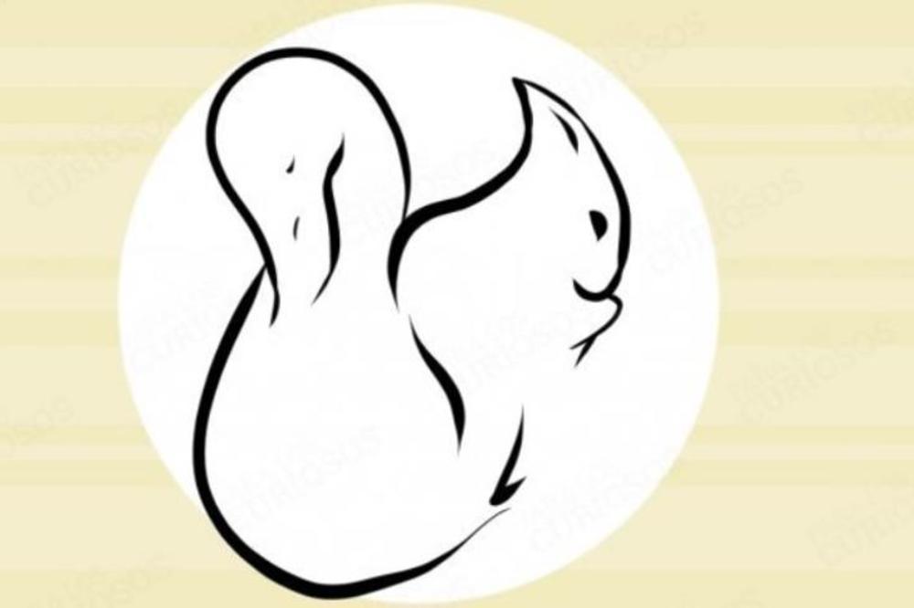 POGLEDAJTE DOBRO OVAJ CRTEŽ: Životinja koju prvo vidite otkriva kakva je vaša INTUICIJA