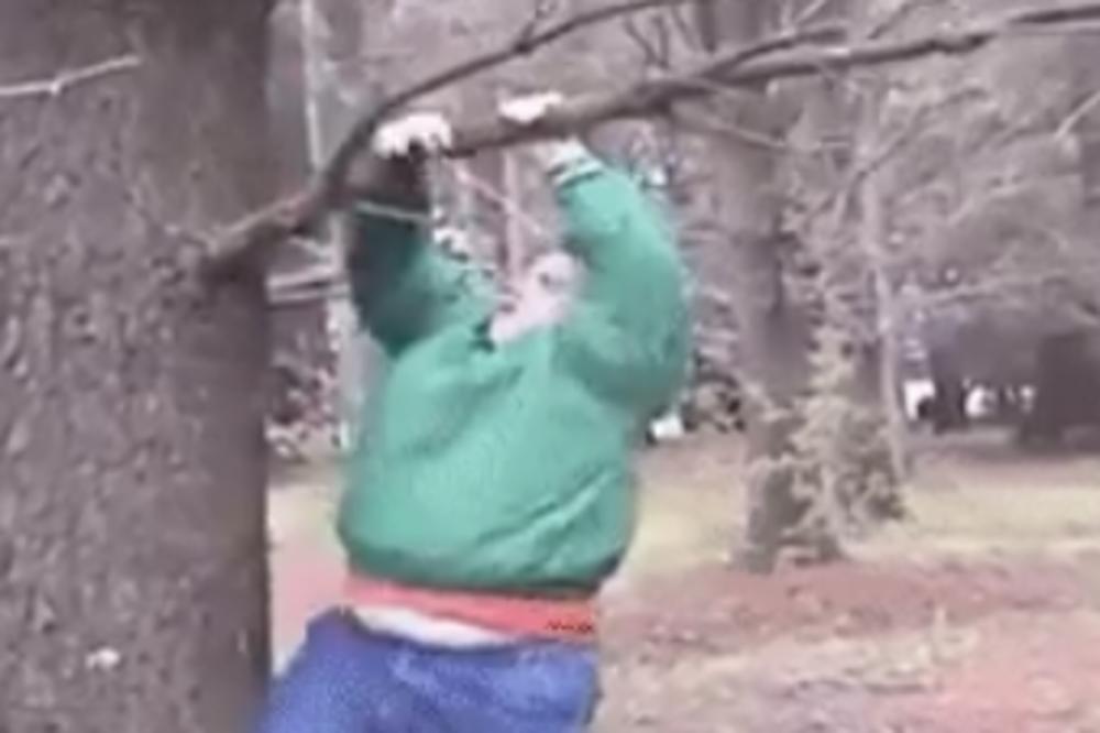 BUCKO JE HTEO DA SE POPNE NA DRVO: Ceo internet se smeje onome što se zatim desilo (VIDEO)