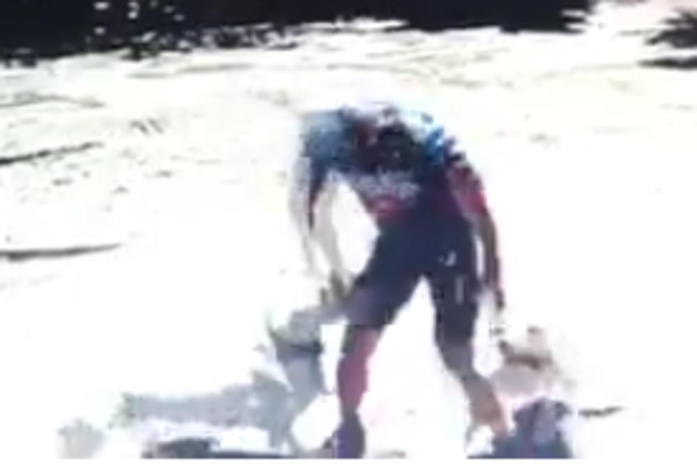 ČOPOR PITBULOVA NAPAO ČOVEKA DOK JE TRČAO: Strašne scene snimljene kamerom (VIDEO)