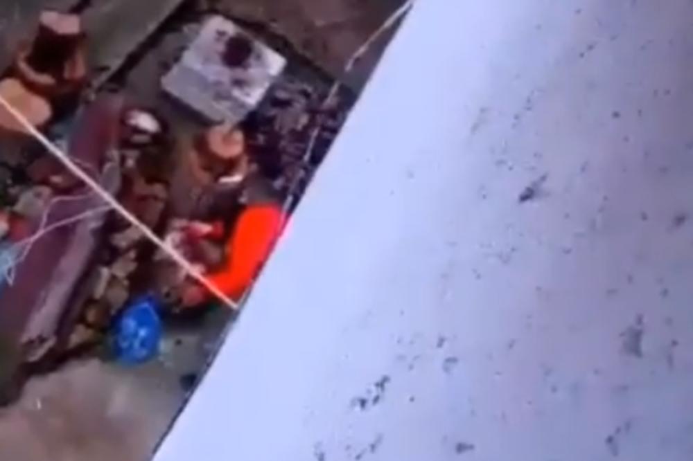 KRVNIČKO KLANJE PSA NA ZVEZDARI: Zario jadnoj životinji nož u stomak, pa joj odsekao udove, KOMŠILUK U ŠOKU!(VIDEO)