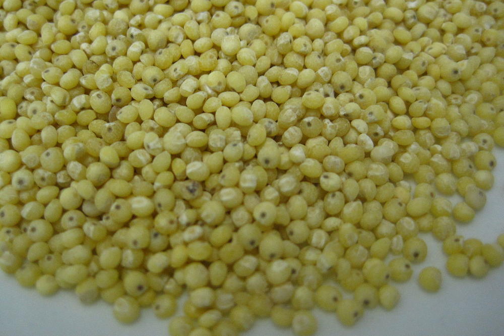 REŠITE SE KAMENA U BUBREGU ZA 10 DANA: Poznata doktorka je OTKRILA RECEPT koji će vas osloboditi ovog problema!