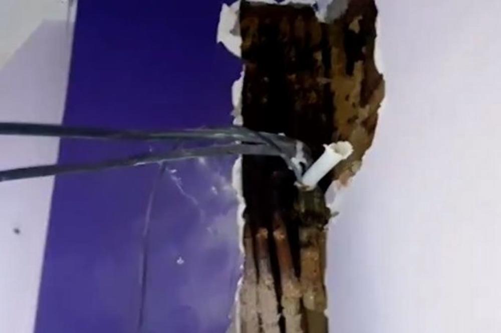 ČAK DVE GODINE SU SLUŠALI NEOBIČAN ZVUK U SVOJOJ KUĆI: Onda su otkrili UŽAS koji im je živeo u zidovima!