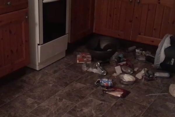 SVAKO JUTRO JE ZATICALA RAZRUŠENU KUHINJU I PRAZAN FRIŽIDER: Pomoću KAMERE je uhvatila lopova! Njega nije očekivala