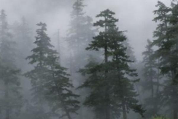 OVO JE NAJVEĆI MONSTRUM SA SIBIRA KOJEG JE SVET VIDEO: Sam pogled na njega izaziva STRAH! (FOTO)