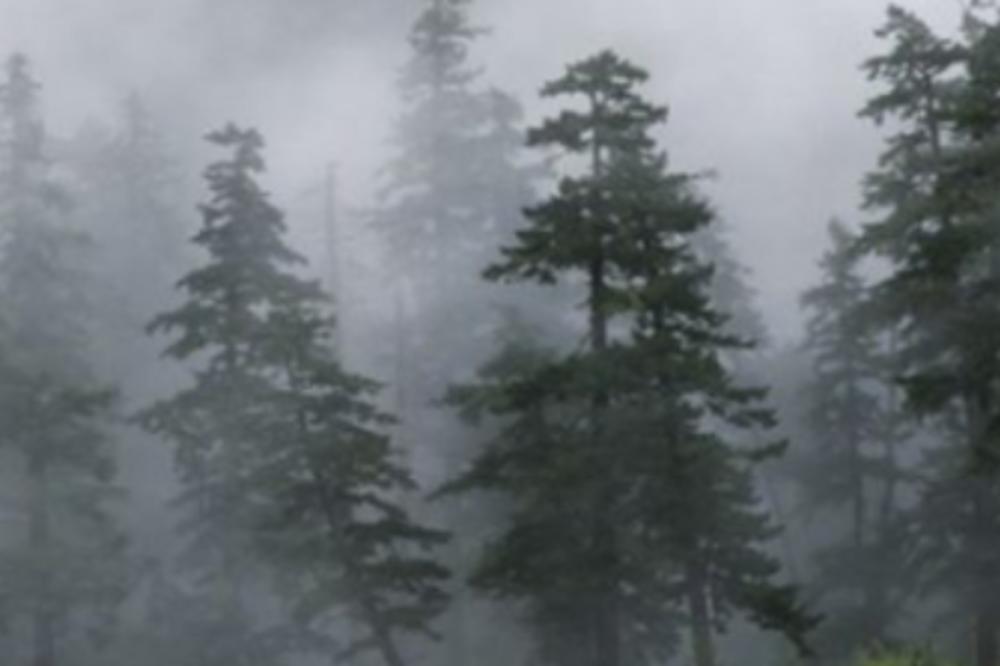 OVO JE NAJVEĆI MONSTRUM SA SIBIRA KOJEG JE SVET VIDEO: Sam pogled na njega izaziva STRAH! (FOTO)