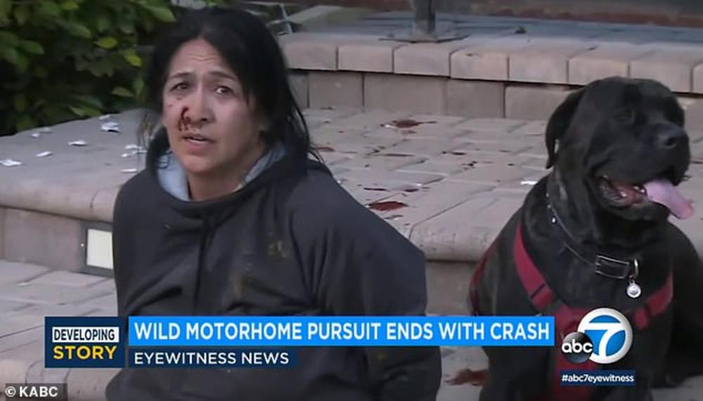 Rejnbrd je na kraju uhapšena 