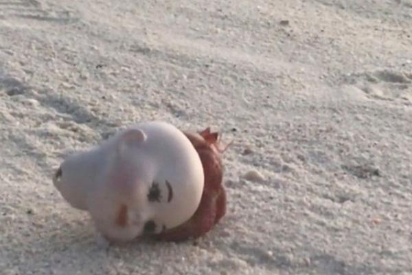 NA PLAŽI UGLEDAO PRIZOR OD KOJEG SE ZALEDIO: U jezivoj glavi lutke bilo je nešto UZNEMIRUJUĆE (VIDEO)