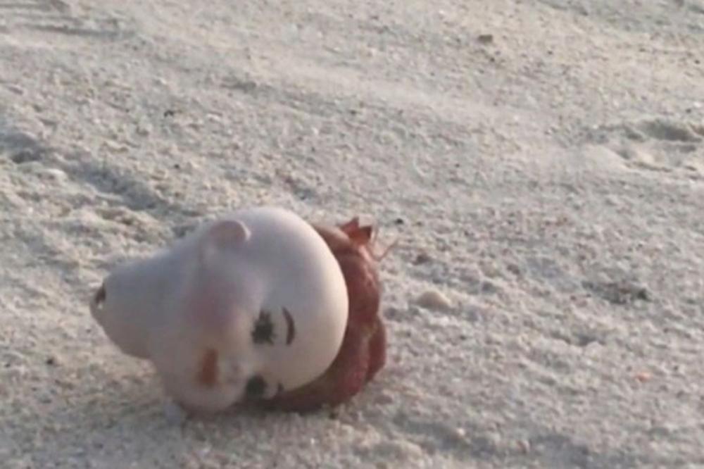 NA PLAŽI UGLEDAO PRIZOR OD KOJEG SE ZALEDIO: U jezivoj glavi lutke bilo je nešto UZNEMIRUJUĆE (VIDEO)