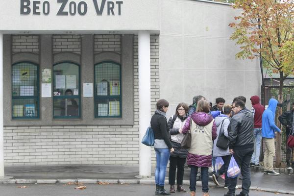 TOTALNI PREOKRET: Javila se mama DEVOJČICE POVREĐENE U ZOO VRTU, MALA UOPŠTE NIJE PALA SA ZIDA?