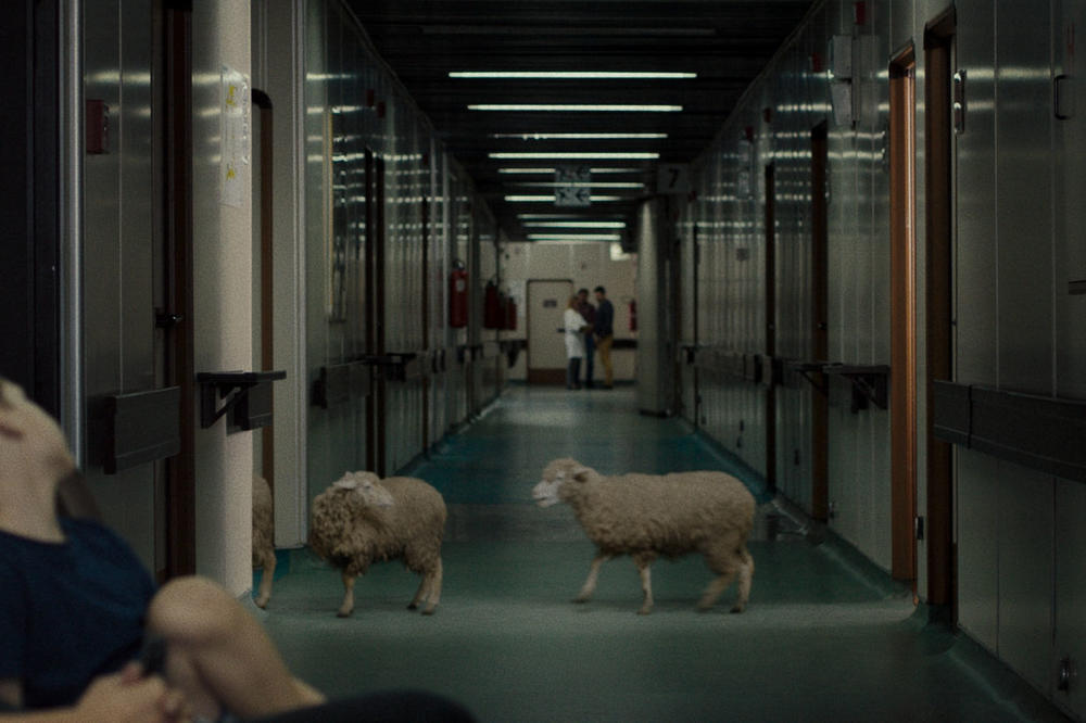 Film MAMONGA Stefana Maleševića na festivalu u Karlovim Varima