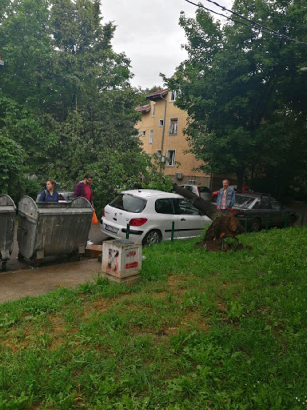 Drvo je palo direktno na automobil  