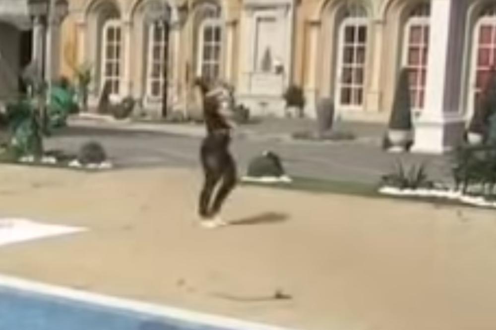 OVAJ SNIMAK DOKAZUJE KAKVA JE ZAISTA MILJANA MAJKA: Pogledajte kako se igra sa sinom u dvorištu Zadruge!