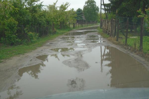 UŽASNO NEVREME NAPRAVILO VELIKU ŠTETU SUBOTICI I OKOLINI: Najviše stradali voćnjaci i ratarske kulture