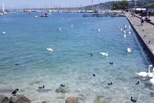 NAJMOĆNIJI LJUDI SVETA SASTANČILI 4 DANA NA OVOJ OBALI: Svi su se začudili što je bilo ovoliko ljudi iz OVE ZEMLJE