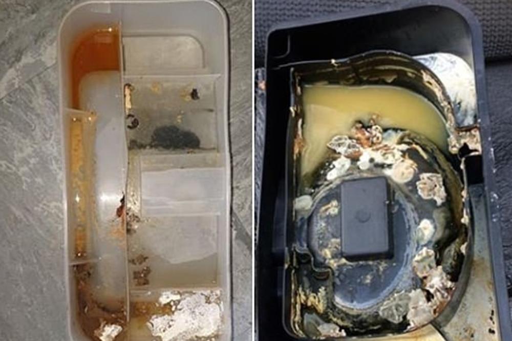 DANIMA JE OSEĆALA NEPRIJATAN MIRIS U KUHINJI: Kad je otvorila ZAMRZIVAČ, imala je šta da vidi!