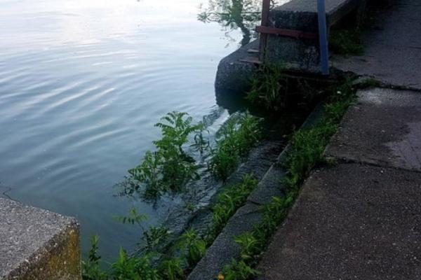 SAVA SE IZLILA U BEOGRADU: Da li je ovo dokaz da je situacija ALARMANTNA? (FOTO)