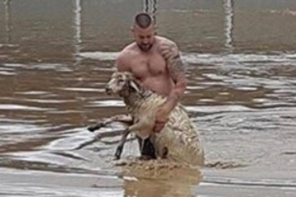 O OVOM MOMKU PRIČA CELA SRBIJA: Izvlačio je ovce iz poplavljene Guče, OTKRIO NAM JE SVE O SEBI! (FOTO)