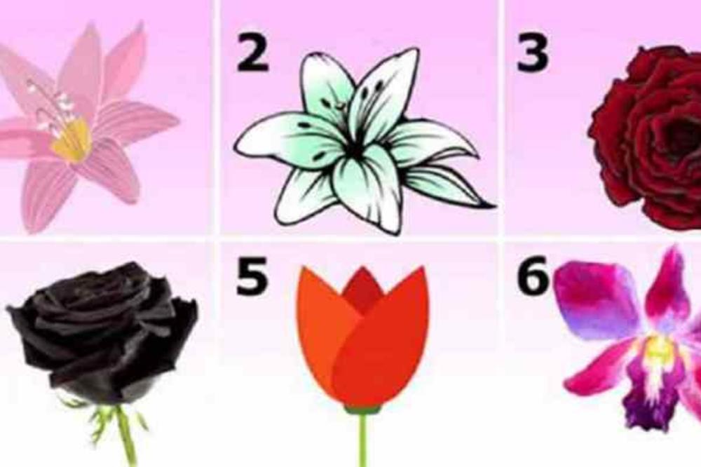 TEST LIČNOSTI: Cvet koji te najviše privlači otkriva zapanjujuću tajnu tvog karaktera