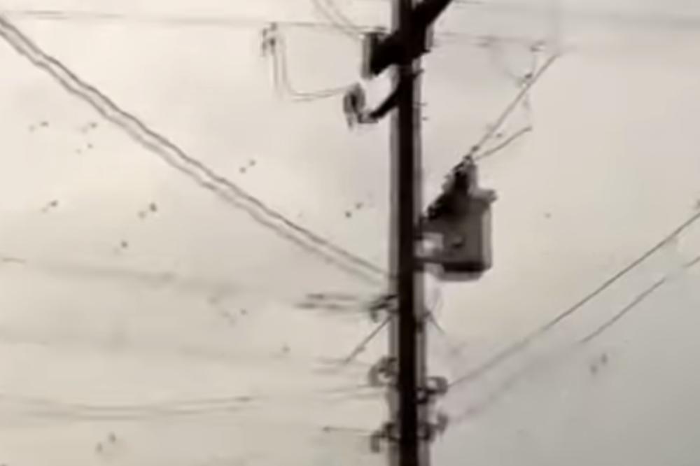 MISLIO JE DA SNIMA JATO PTICA U DALJINI: Ali kada je zumirao kameru umalo ga nije STREFIO INFARKT! (VIDEO)