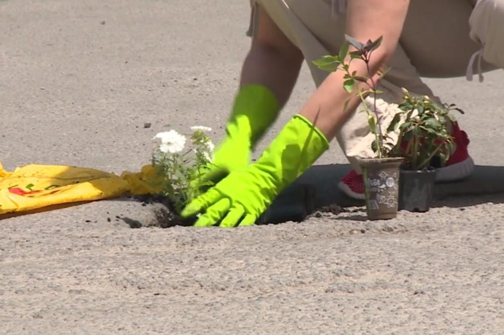 RUPE U NASELJU UKRASILI CVEĆEM: Meštani Koteža se umorili od zvanja putara!