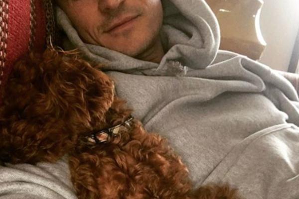 ČUVA SKELET SVOG PSA U STANU: Poznati glumac ZGROZIO JAVNOST bizarnom fotografijom SVAKO VEČE MU POŽELI LAKU NOĆ?