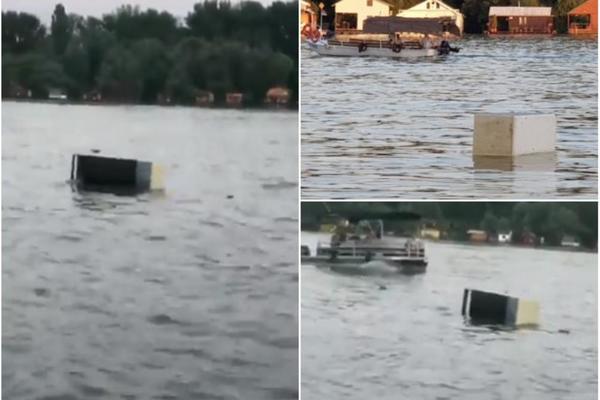 ŠTA TO PLUTA SAVOM USRED BEOGRADA? I ne, nije divlja svinja... (FOTO)