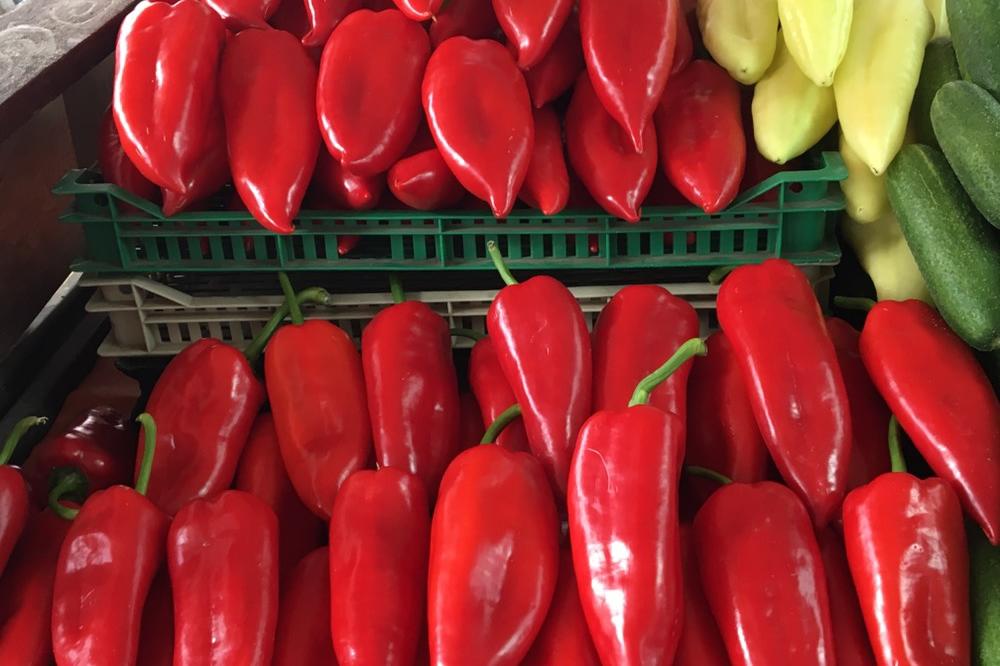 "KUPE PAPRIKU U MAKEDONIJI, POVEDU I BABU": Grčki ugostitelji imaju VELIKI PROBLEM sa srpskim turistima u septembru