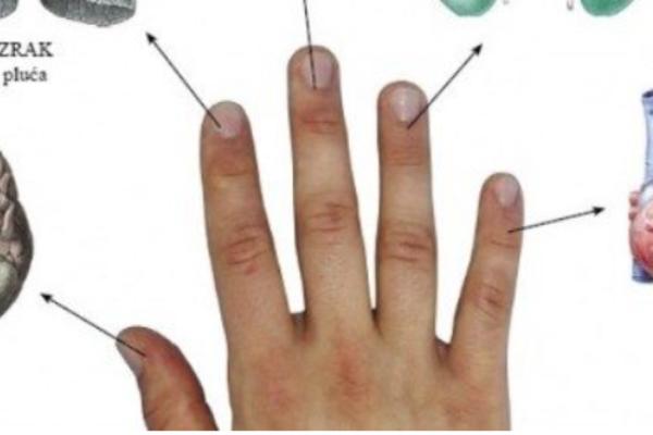 TELO NAM STALNO UKAZIJE DA NAS NAPADA NEKA BOLEST: Samo pogledajte u svoj jezik ili prste i proverite VAŠE ZDRAVLJE