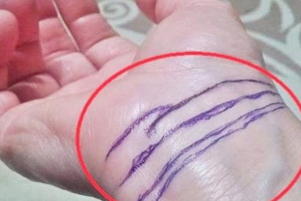 RETKI LJUDI IMAJU OVE ČETIRI LINIJE: Crte na zglobu govore sve o VAŠEM ZDRAVLJU I BUDUĆNOSTI!