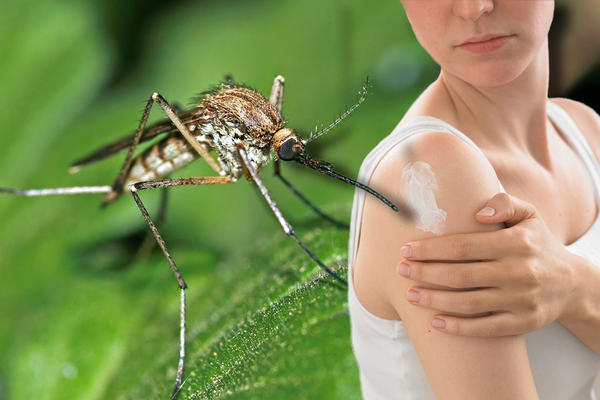 VIŠE VRSTA KOMARACA HARA SRBIJOM! Ova je NAJOPASNIJA, grizu kao nenormalni, izuzetno AGRESIVNI