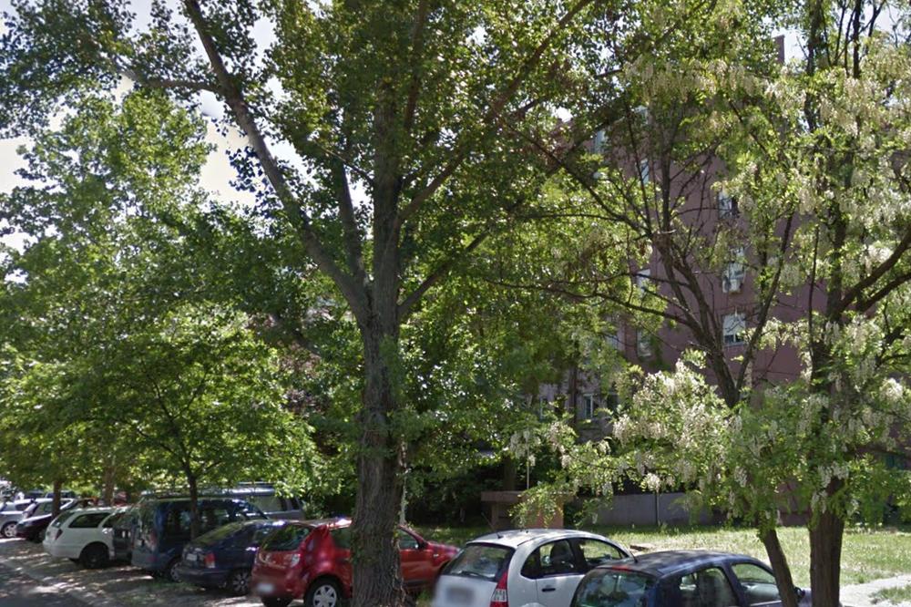 POGINULI MAJKA I DETE SA BEŽANIJE! Skočili kroz prozor sa četvrog sprata da se spasu od VATRE U STANU i stradali