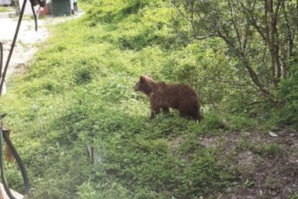 ZVERI SU UPALE U SRPSKU SVETINJU NA KOSOVU! Alarmantna situacija u MANASTIRU, upaljen je CRVENI ALARM (FOTO)