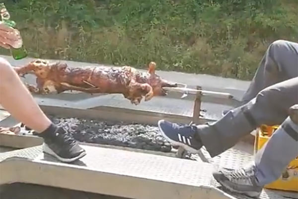 CELA BANJALUKA SE SMEJE! Seli u PRIKOLICU, zapalil MOTOR, a onda nabacili PRASE! POGLEDAJTE ŠTA SU URADILI! VIDEO