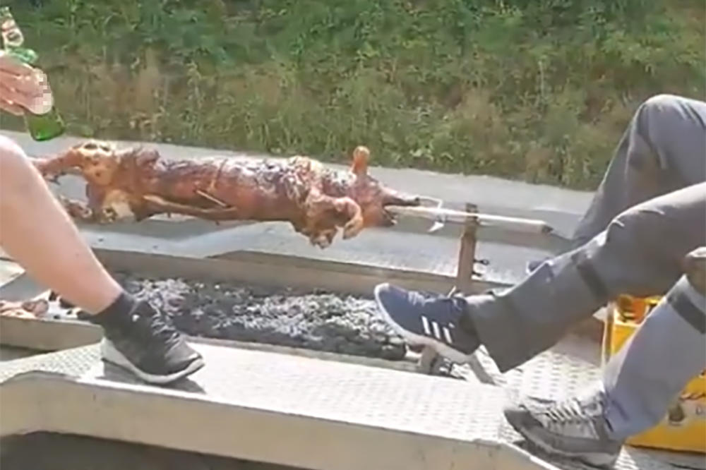 CELA BANJALUKA SE SMEJE! Seli u PRIKOLICU, zapalil MOTOR, a onda nabacili PRASE! POGLEDAJTE ŠTA SU URADILI! VIDEO